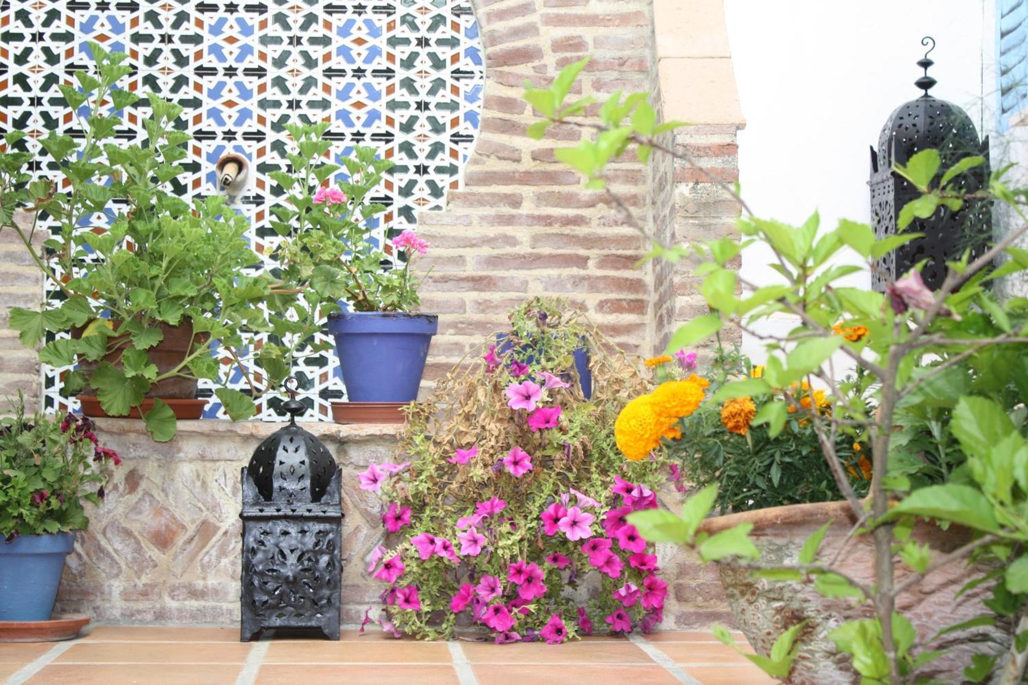 Guest house El Cobijo De Vejer